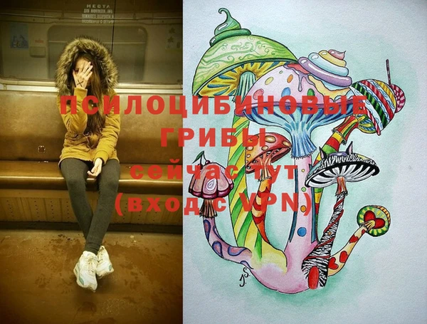 круглые Верхний Тагил